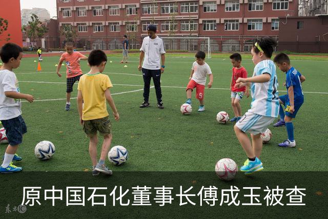 原中国石化董事长傅成玉被查