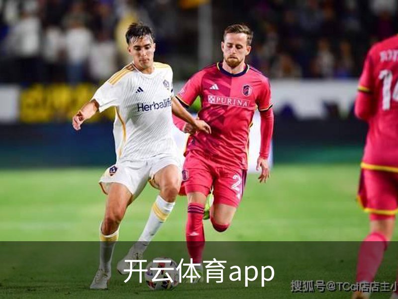 开云体育app概况